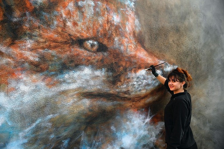 Murs et Façades Street Art d'Aussillon