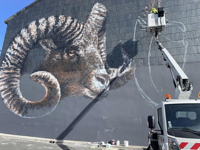 Murs et Façades Street Art d'Aussillon