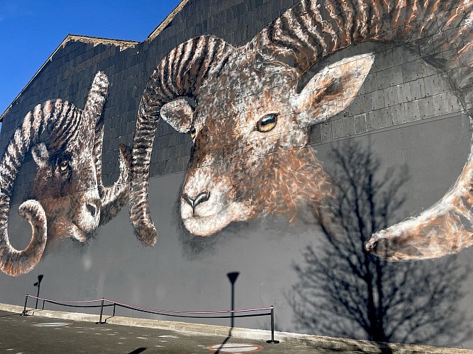 Murs et Façades Street Art d'Aussillon