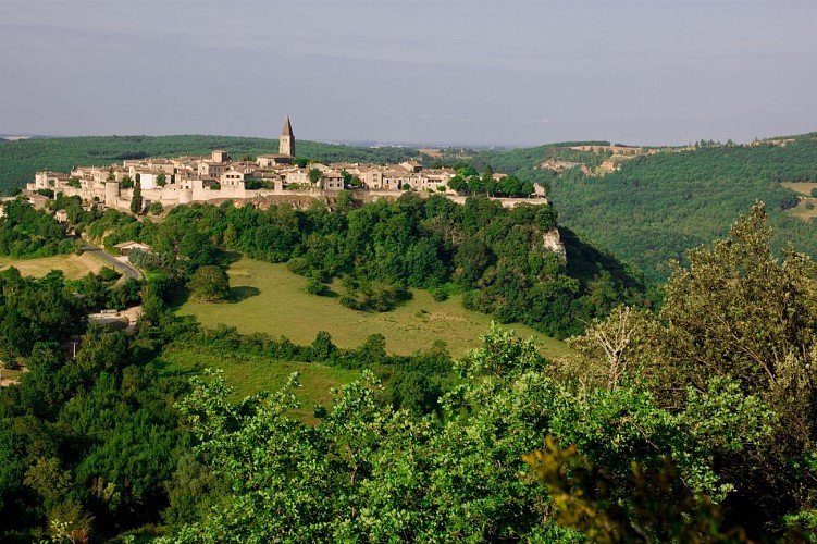 Balade historique Puycelsi