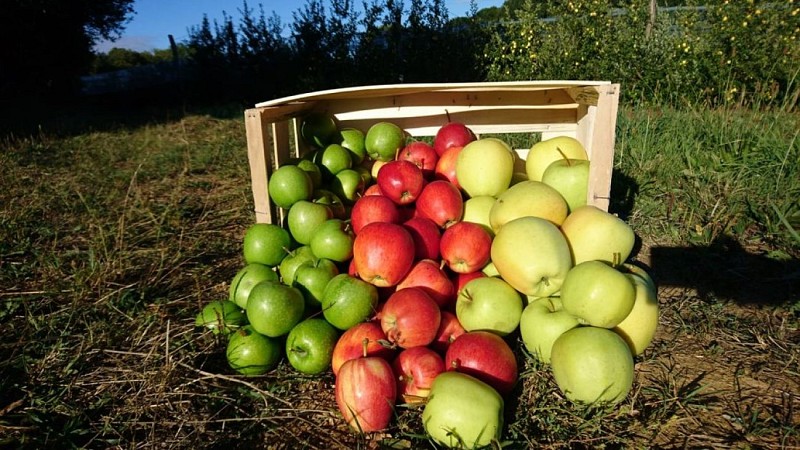 Ferme des Roucel à Glanges_3