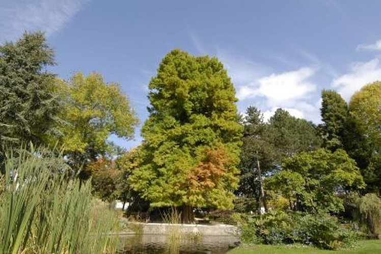 Parc Victor Thuillat