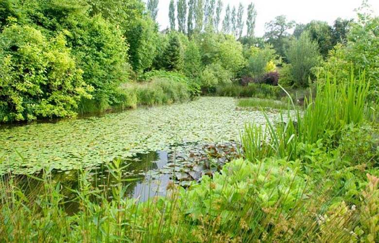 La Tuillière Arboretum