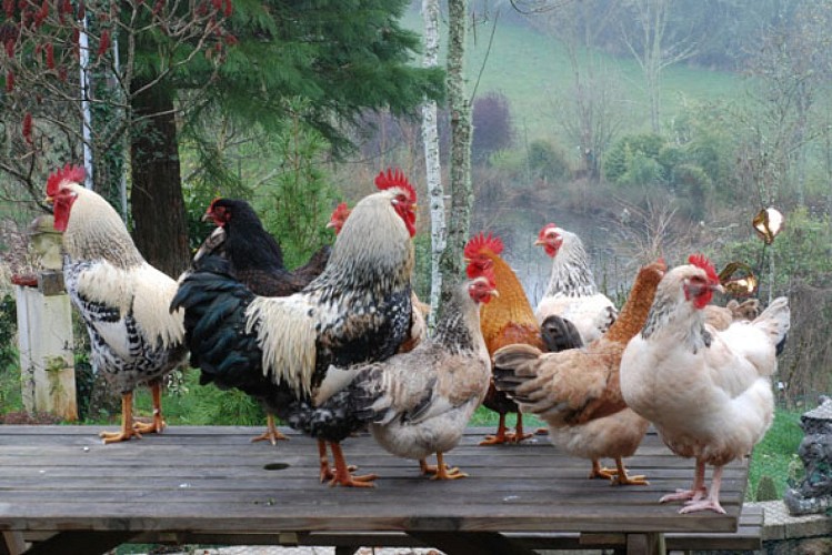 Arboretum de La Tuillière