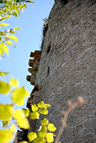 Donjon de la Côte au Chapt