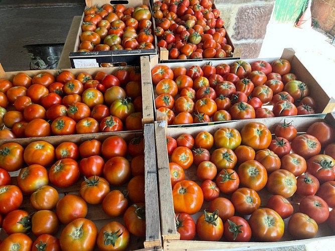 La Ferme de Brossard - Maison de la Châtaigne