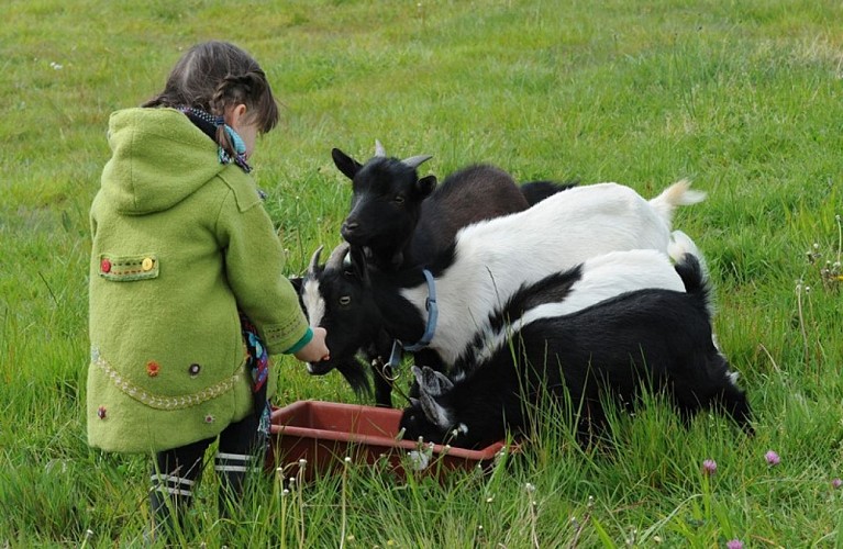 La Ferme de Brossard - Maison de la Châtaigne