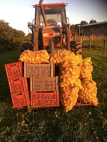 La Ferme de Brossard - Maison de la Châtaigne