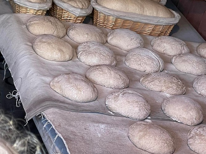 La Ferme de Brossard - Maison de la Châtaigne