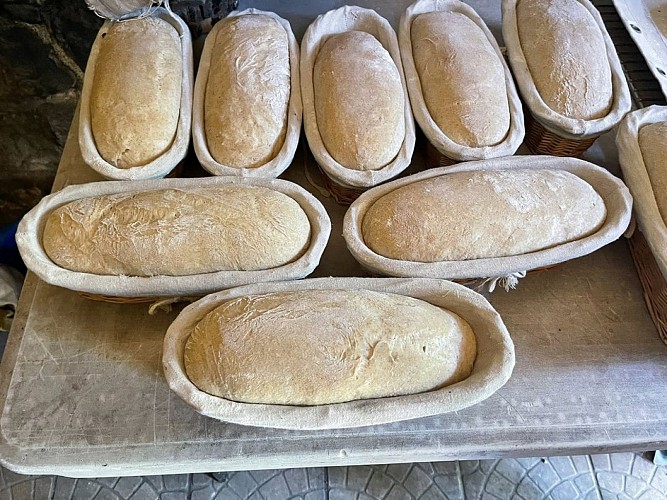 Ferme-de-Brossard_Lanteuil_atelierPain_9