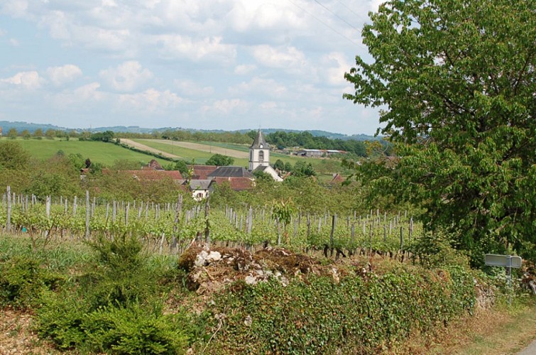 Vin de pays de la Corrèze 'Mille et une pierres'