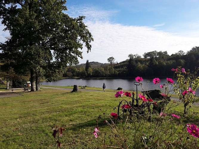 Cabane de feuillardier à Masselièvre