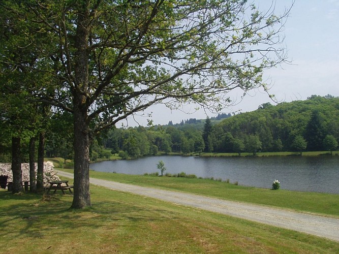 Cabane de feuillardier à Masselièvre