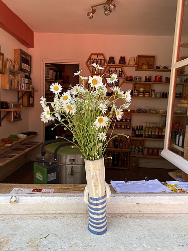 Vue de la boutique de l'extérieur 