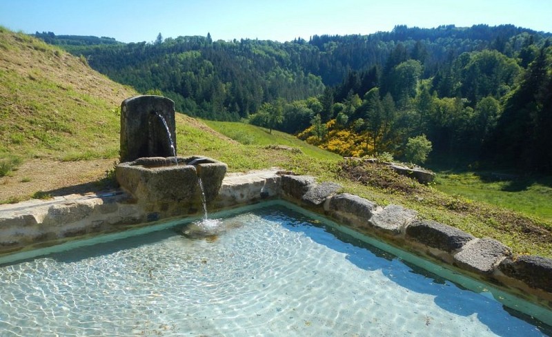 Vallon des Six Fontaines