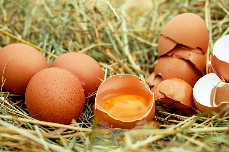 Free-range eggs - Valentin Michaud