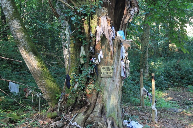 Bonnes_Fontaines_Cussac