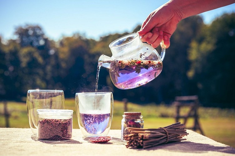 2023-10-10_Comptoir-herboristerie-_Nadia-Mauleon-054web