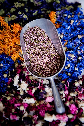 Le Comptoir d'Herboristerie