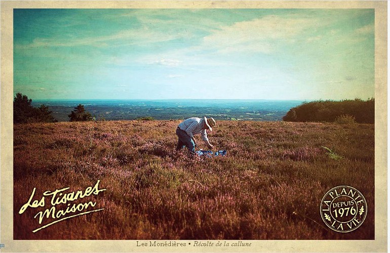 Le Comptoir d'Herboristerie