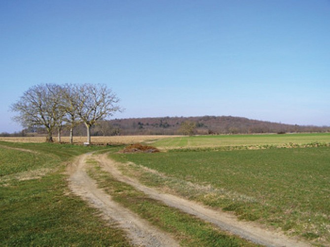 Butte de Moncoue naturel Taize Plaine et vallees Thouarsais
