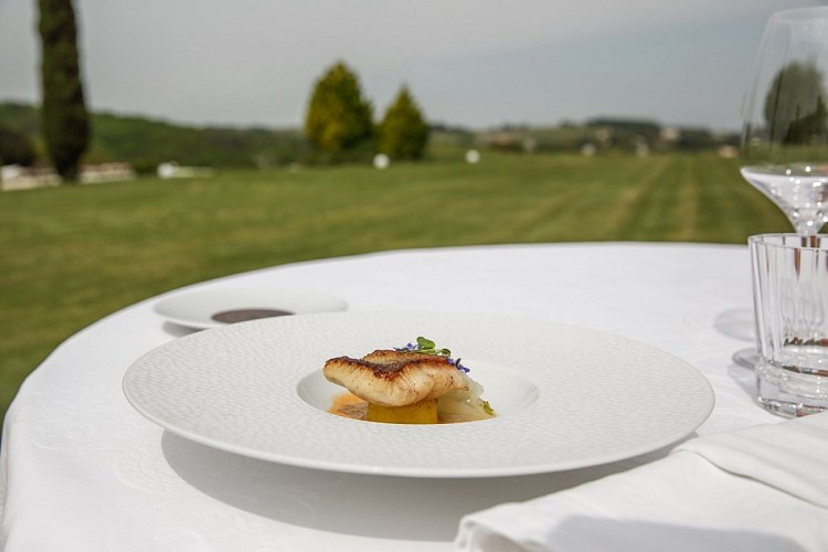 527Photo  ©Luc Fauret