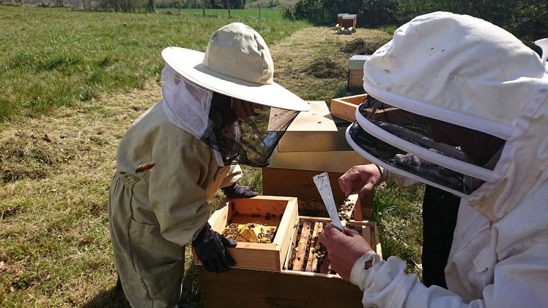 ©Les Ruches de Liza (3) ok