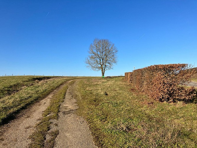 En venant de Roussy-le-Village