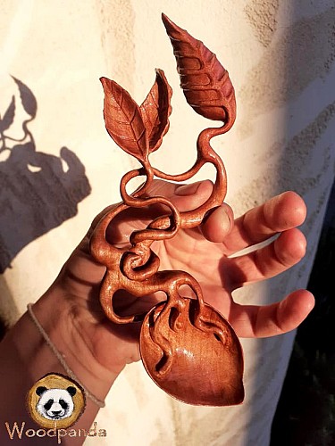 graine de mandragore