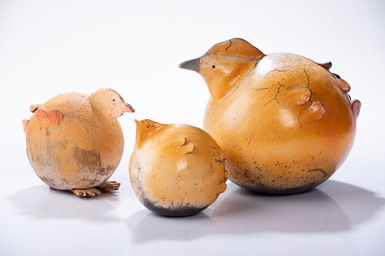 les poulettes (sigillée)