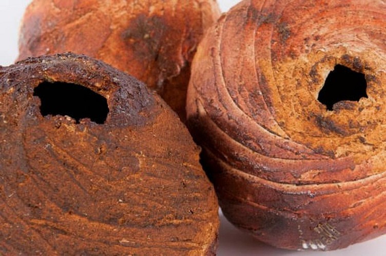 josephte-grange-sarles1