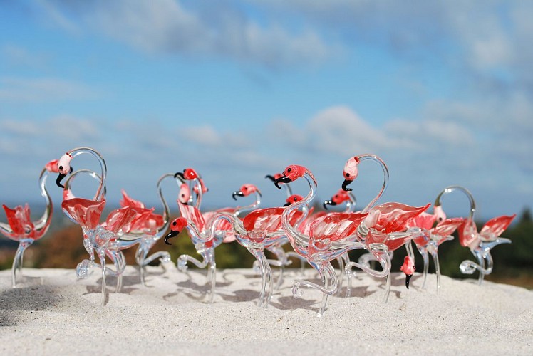 Flamants roses