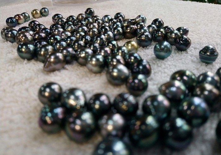 Choix perles de polynésie