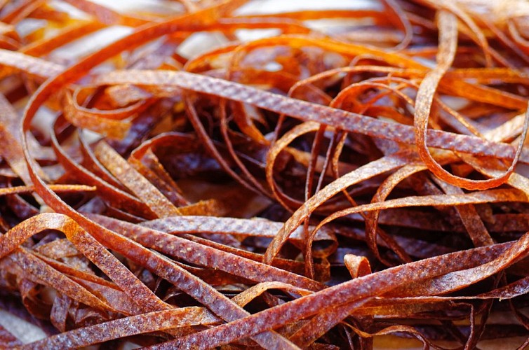 Pots éthiques de Terre Amoureuse