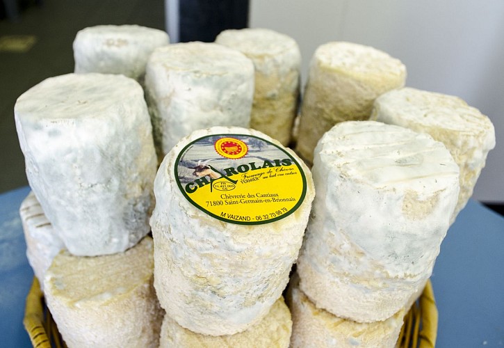Fromages charolais