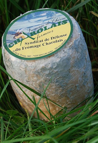 photo fromage chevre
