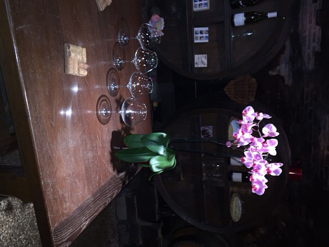 Cheilly les Maranges - Cave de Cheilly - 2017 (5)