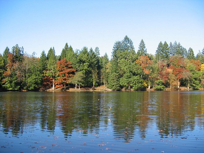 Vue Arboretum depuis étang