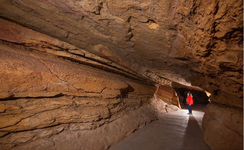 Galerie de la grotte préhistorique