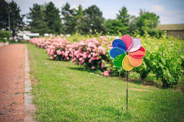 Allées du Jardin en Beaujolais