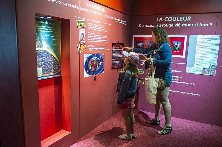Maison du Charolais-Visite musee-CHAROLLES