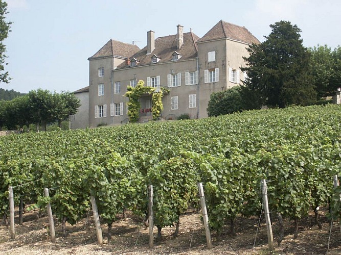 Château