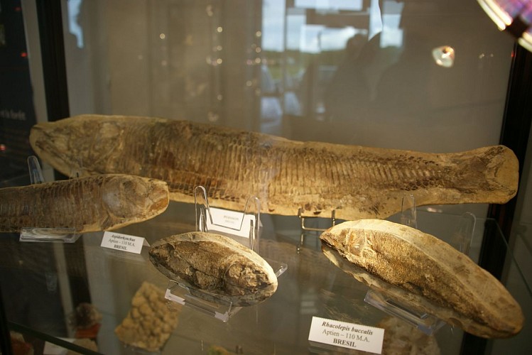 Musée du Patrimoine Gueugnonnais