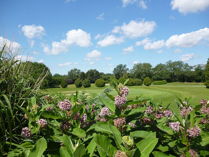 Roseraie-2012-OT (107)