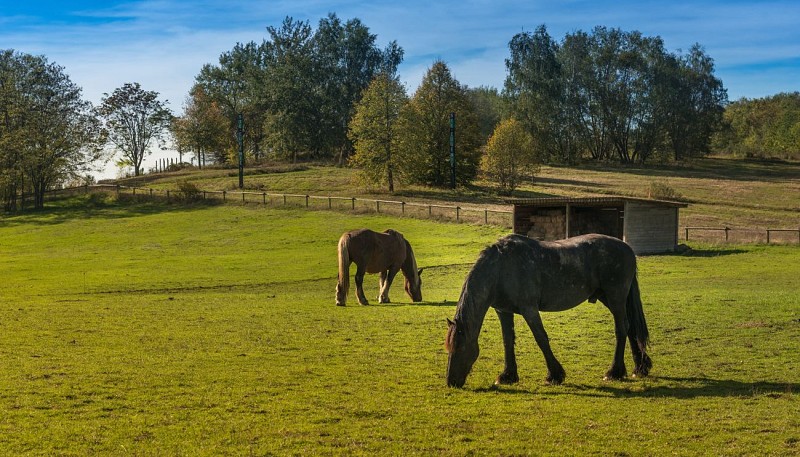 Montceau-Grands-Parcs-1-automne-2019-oscara-photographe-Creusot-Montceau-Tourisme
