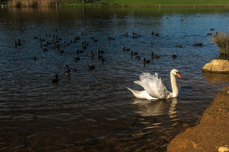 Montceau-Grands-Parcs-1-automne-2019-oscara-photographe-Creusot-Montceau-Tourisme