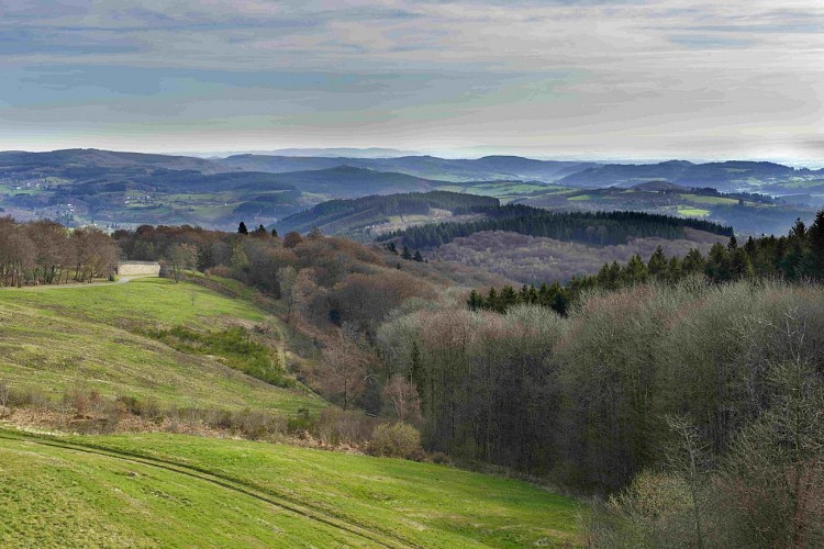 Panorama depuis Bibracte