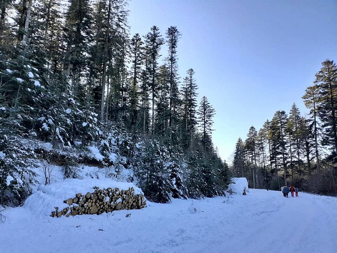 Haut-Folin-Saint-Prix-2021_2