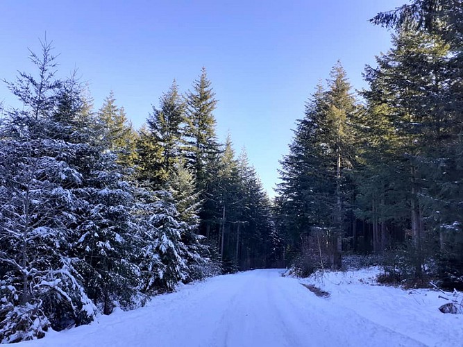 Haut-Folin-Saint-Prix-2021_4