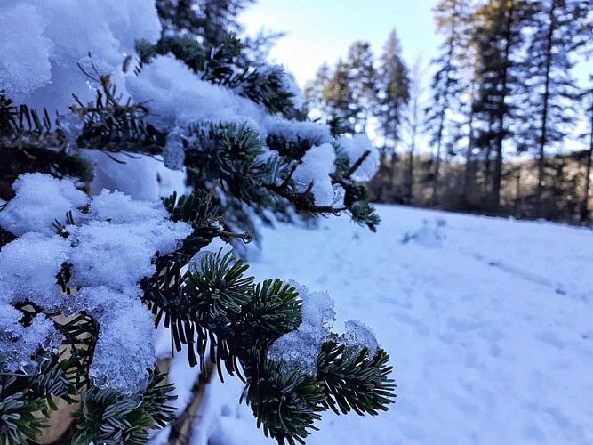 Haut-Folin-Saint-Prix-2021_3